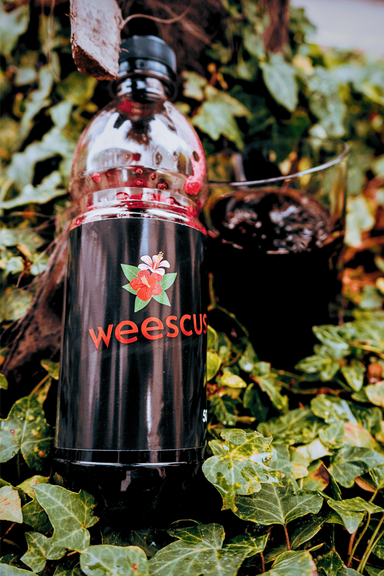 Weescus Original – Pack 4 Bouteilles 50cl - Weescus